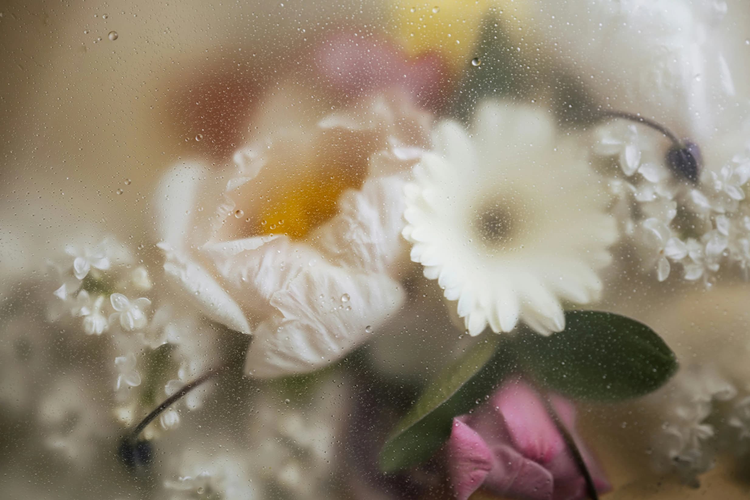 Soft floral still life behind misted glass