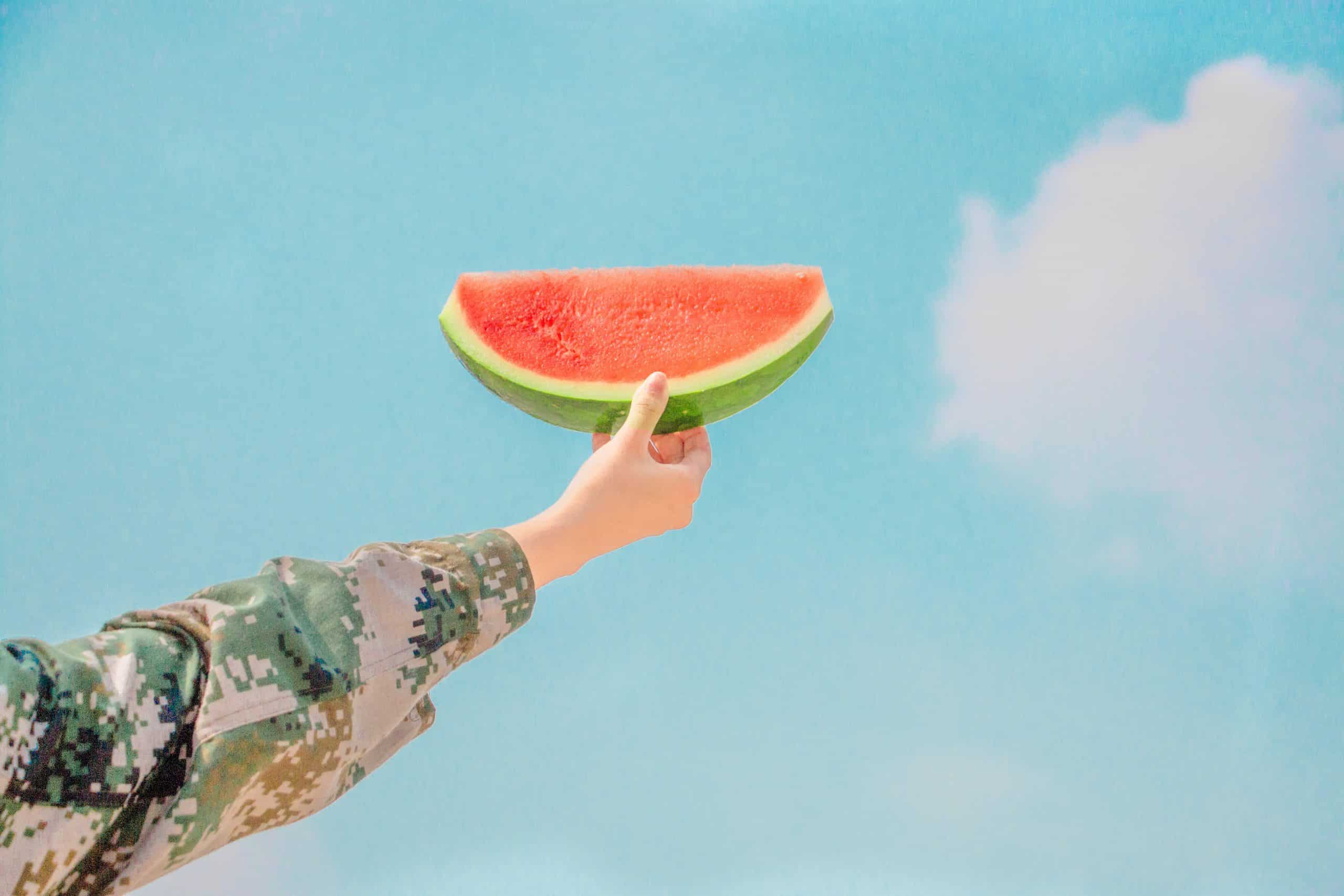 Summer Essentials: Sun, Fun… And A Bible Reading Plan?