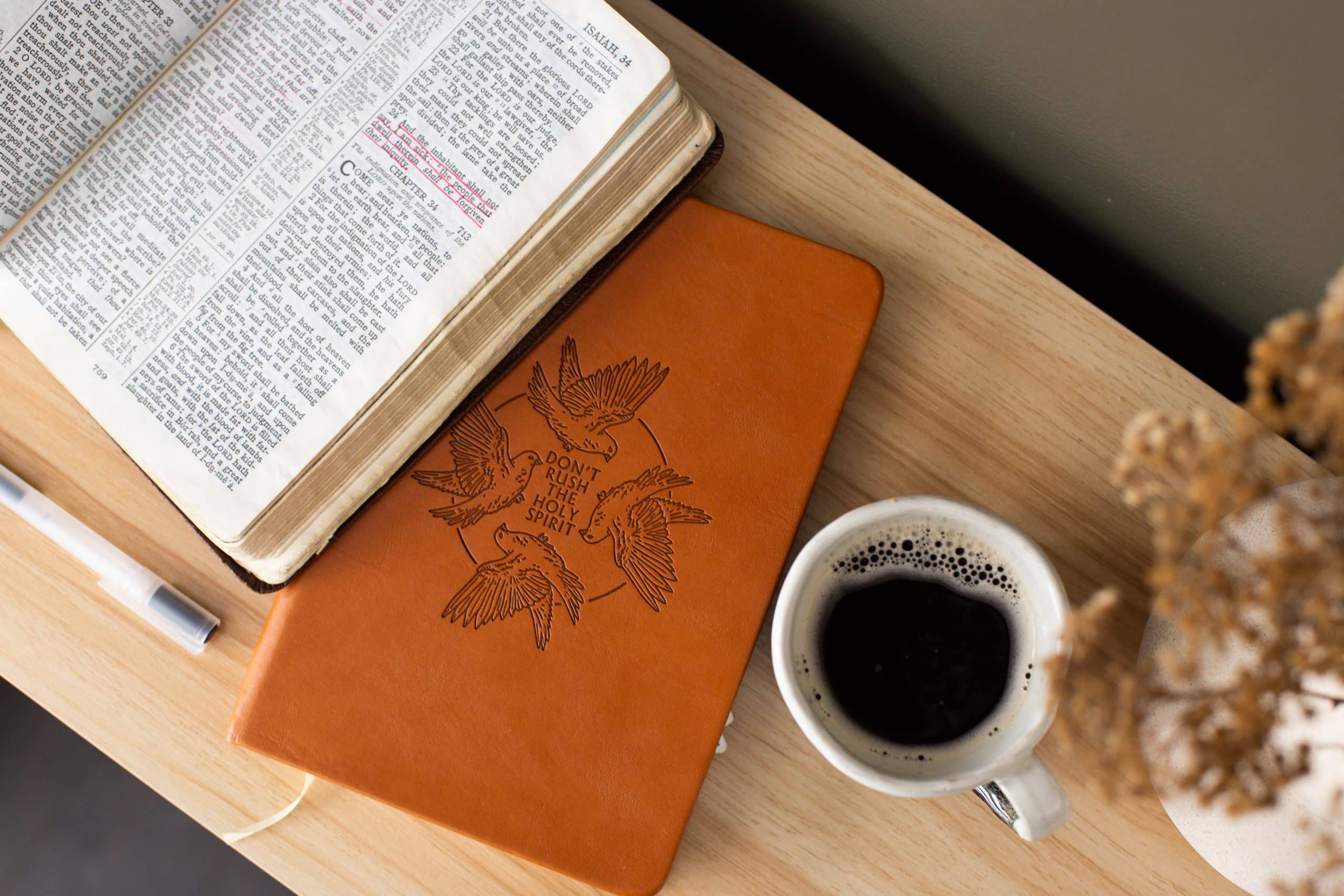 ¿Cómo empezar a leer la Biblia?