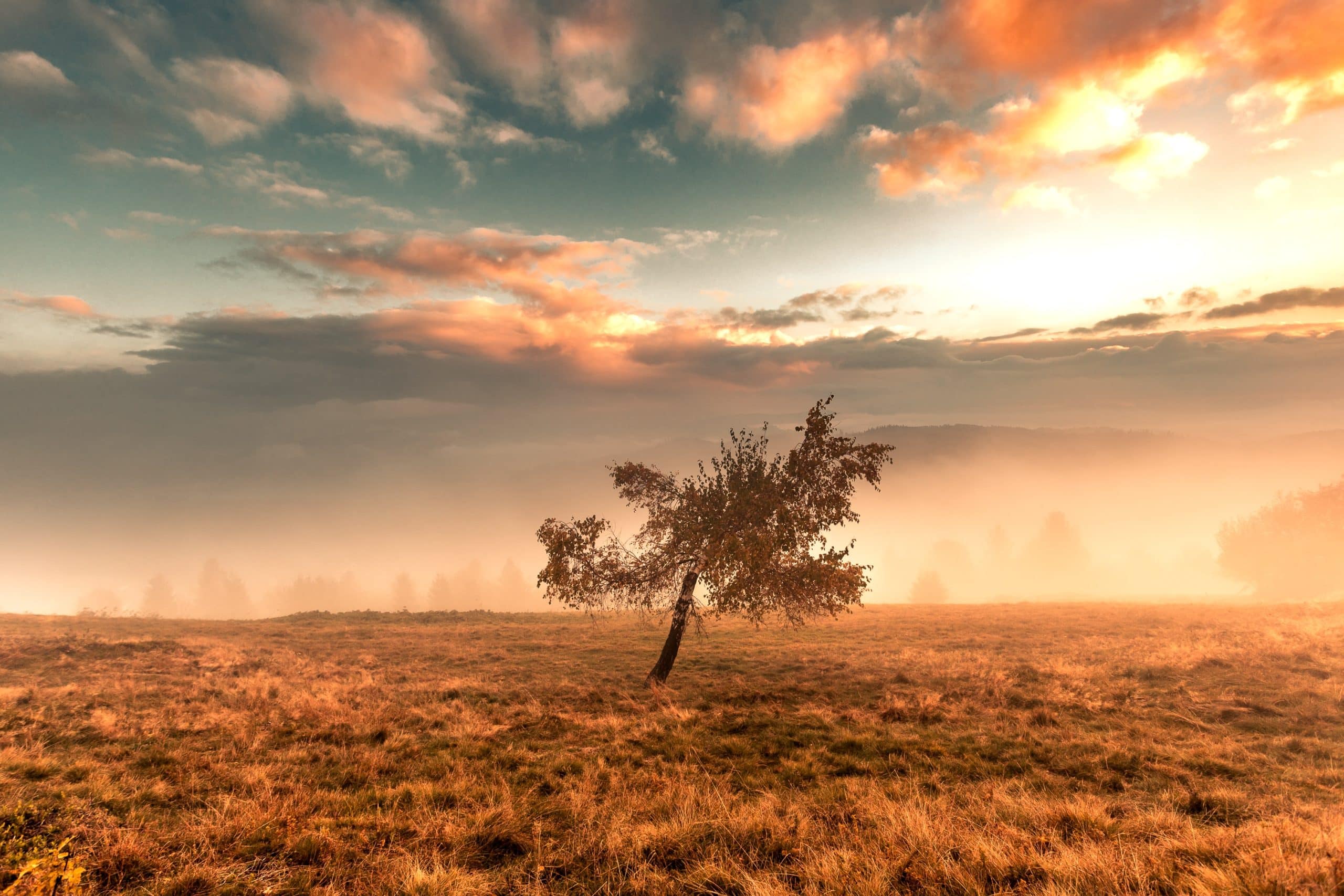What Does 'Joy Comes In The Morning' Mean?
