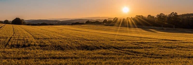How To Make Prayer A Daily Habit
