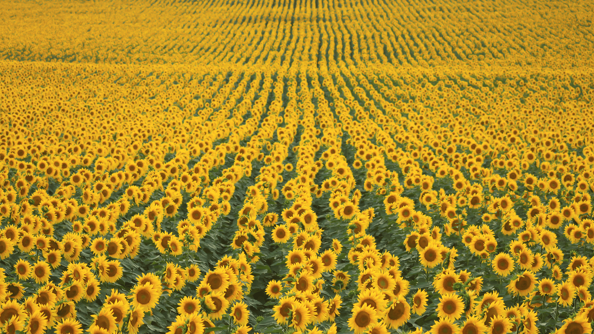 Exploring Eternity: Is Heaven A Real Place?