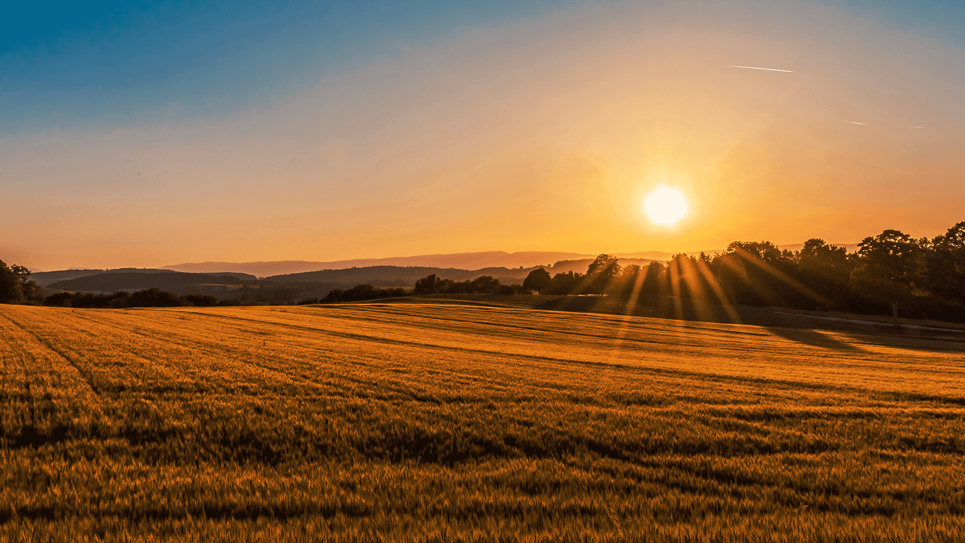 What Does It Mean To Have The Faith Of A Mustard Seed?