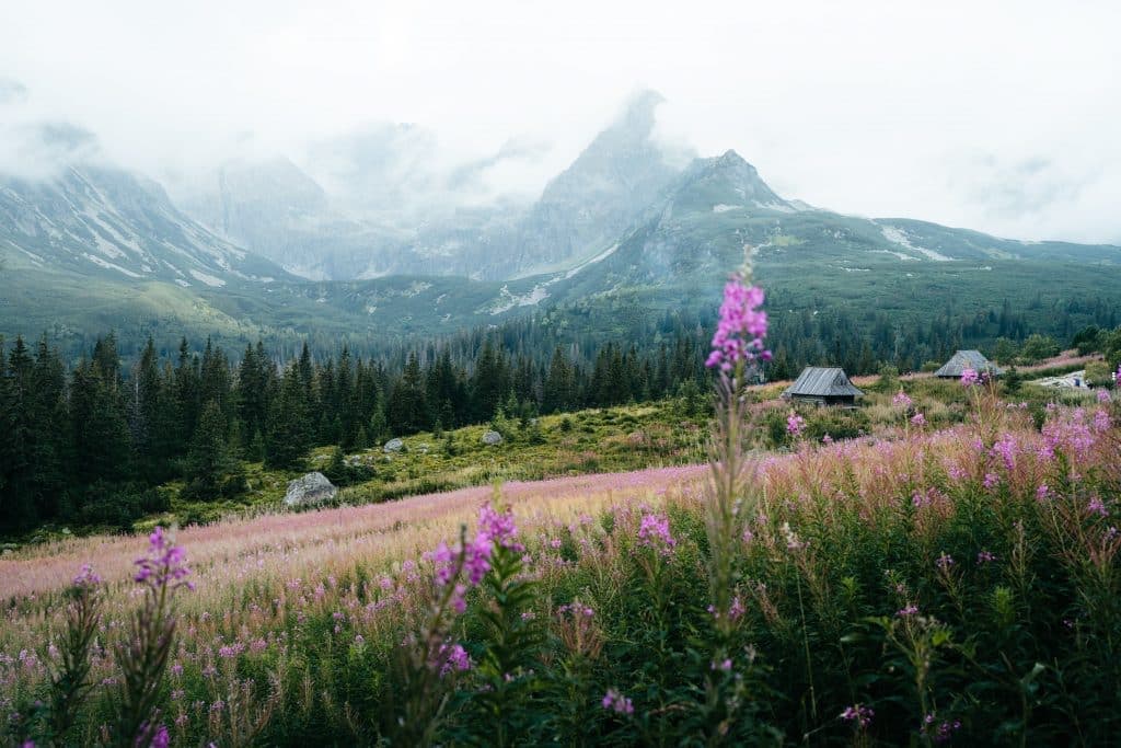 Disfruta de una Navidad con mindfulness
