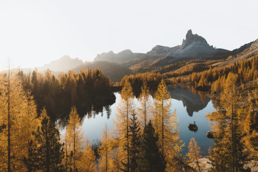 Wisdom in The Bible: Wisdom Is A Person