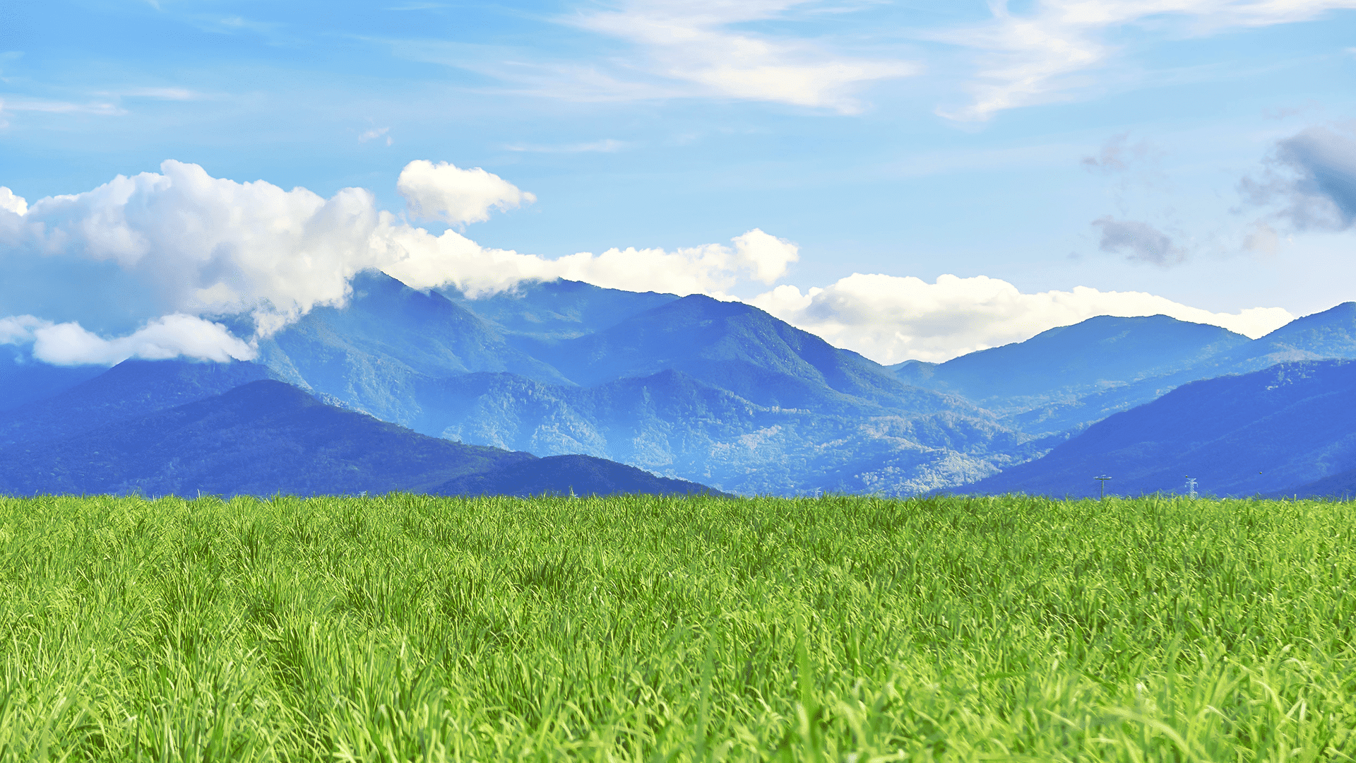 Prayers for The Loss of a Loved One: Finding Comfort in God's Presence