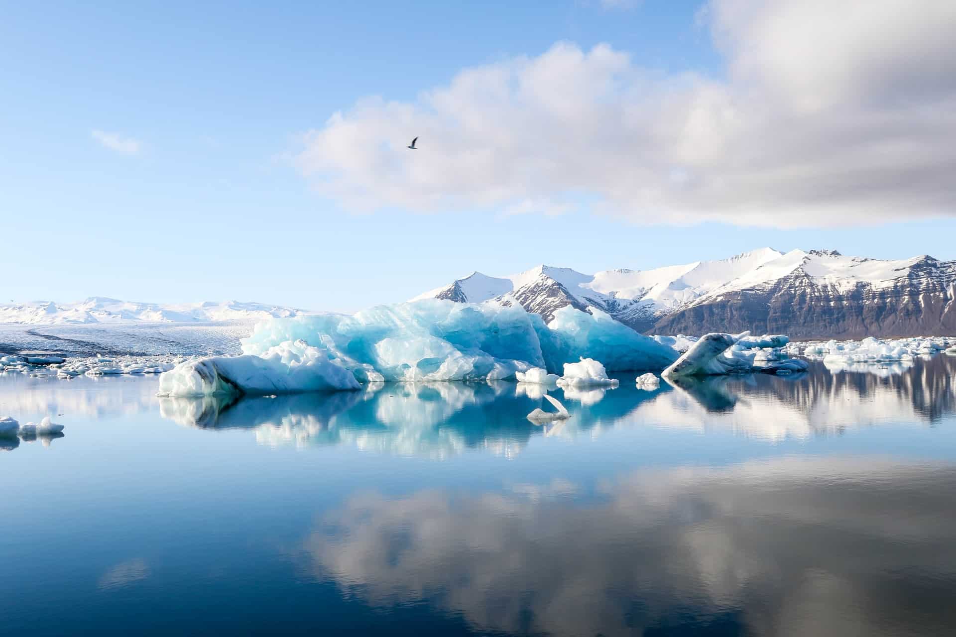 Christianity And The Environment: What Should Our Response Be?
