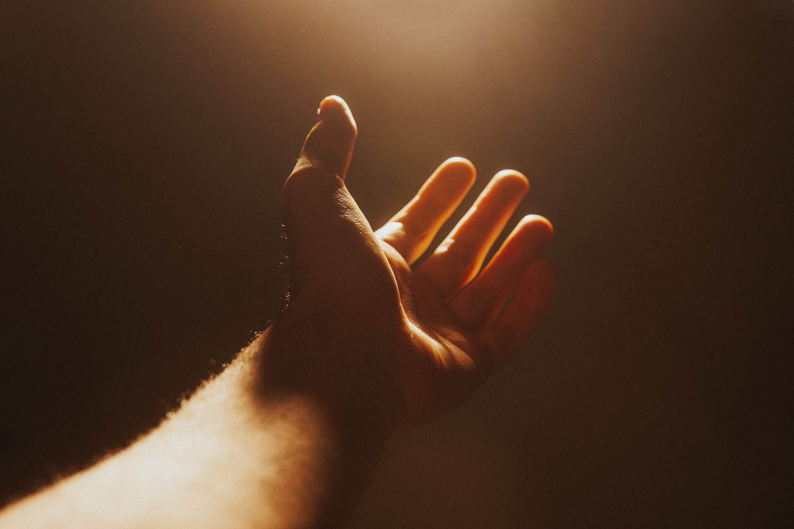 7 versículos bíblicos para el día de acción de gracias