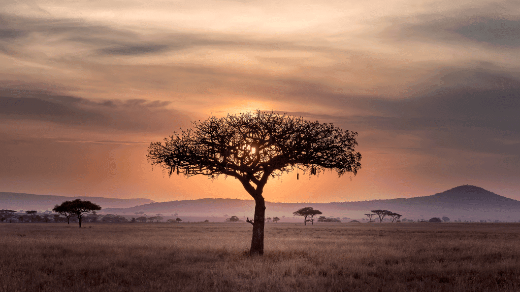 Who Is Jesus? The Story of The Samaritan Woman