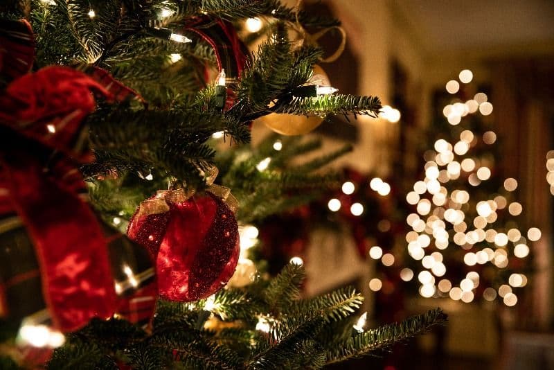 ¿Cómo celebrar la Navidad?