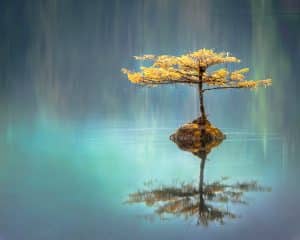 Cinco Versículos Bíblicos Cheios de Esperança