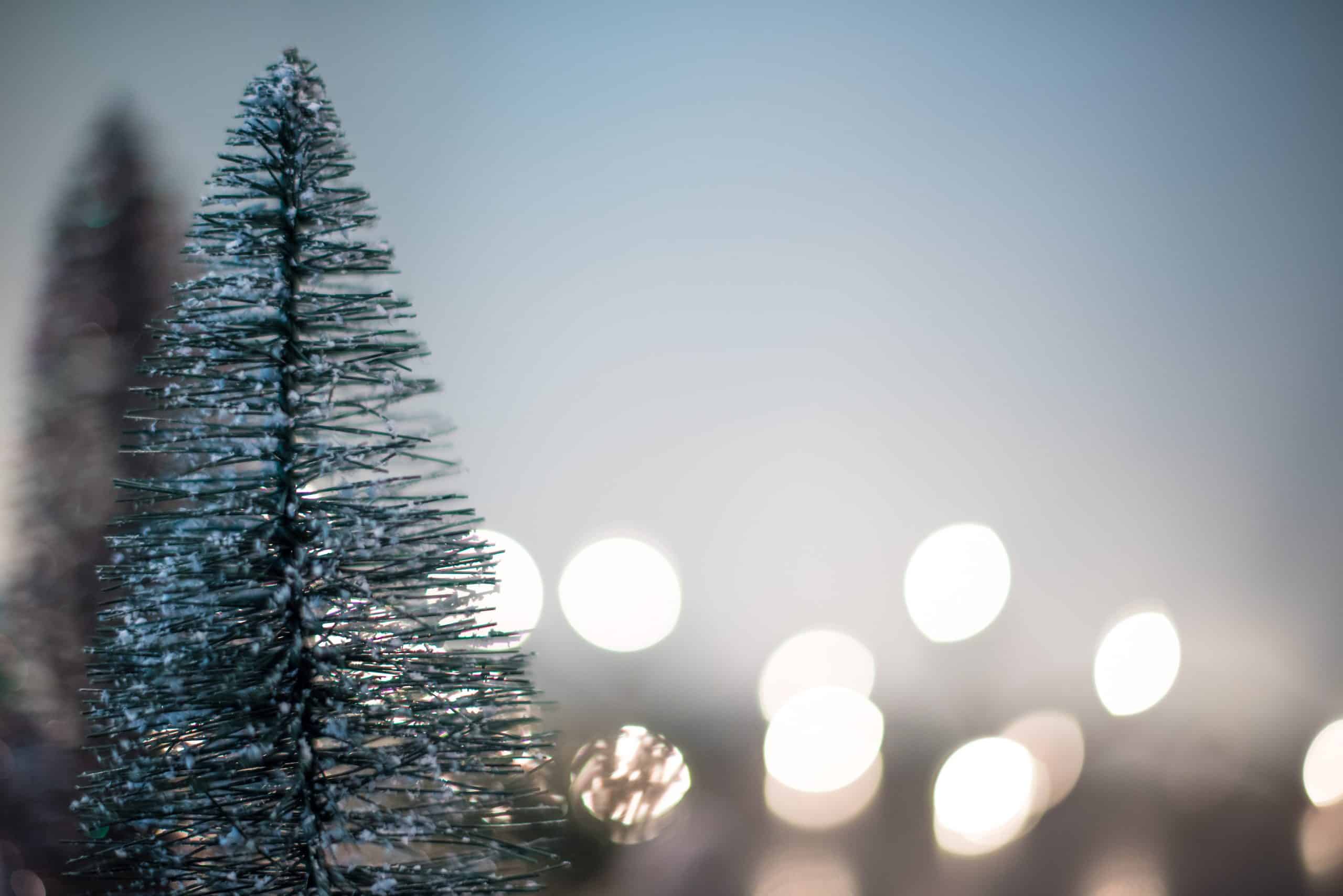 ¿Cómo cultivar paz y alegría esta Navidad?