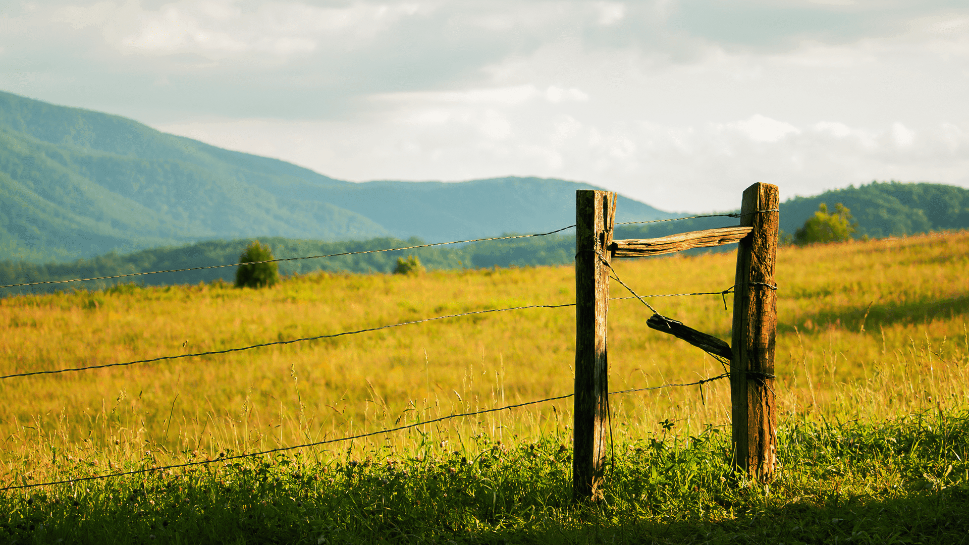 The Power of Prayer Verses: Unleashing the Supernatural In Your Daily Life