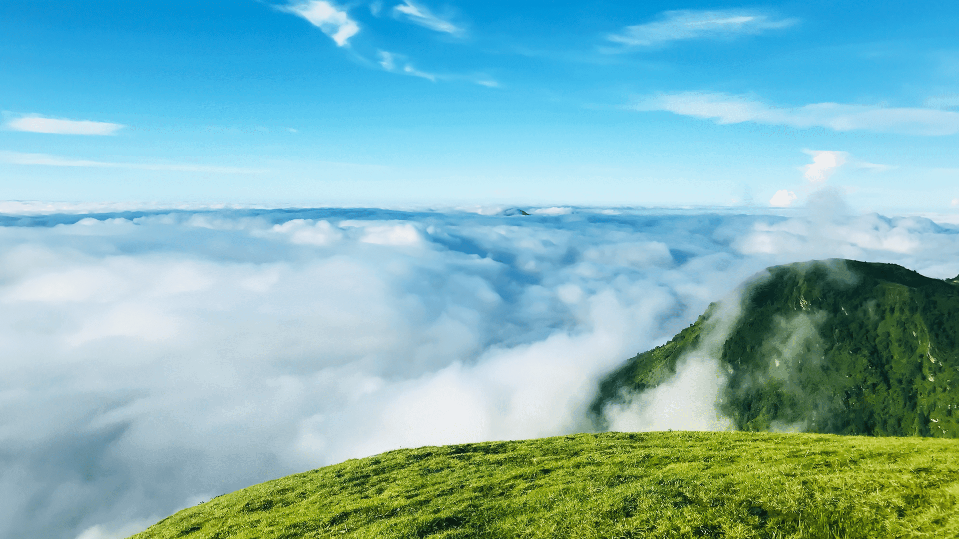 Sleep in Peace: The Power of Prayer for Restful Sleep