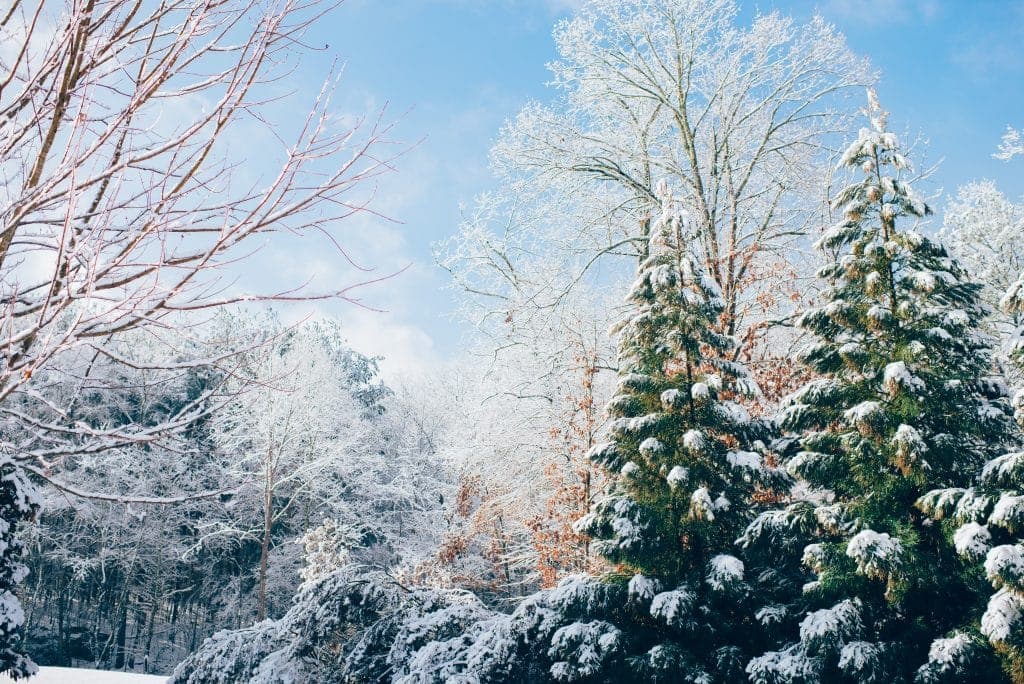 Versículos bíblicos de Navidad para compartir con seres queridos