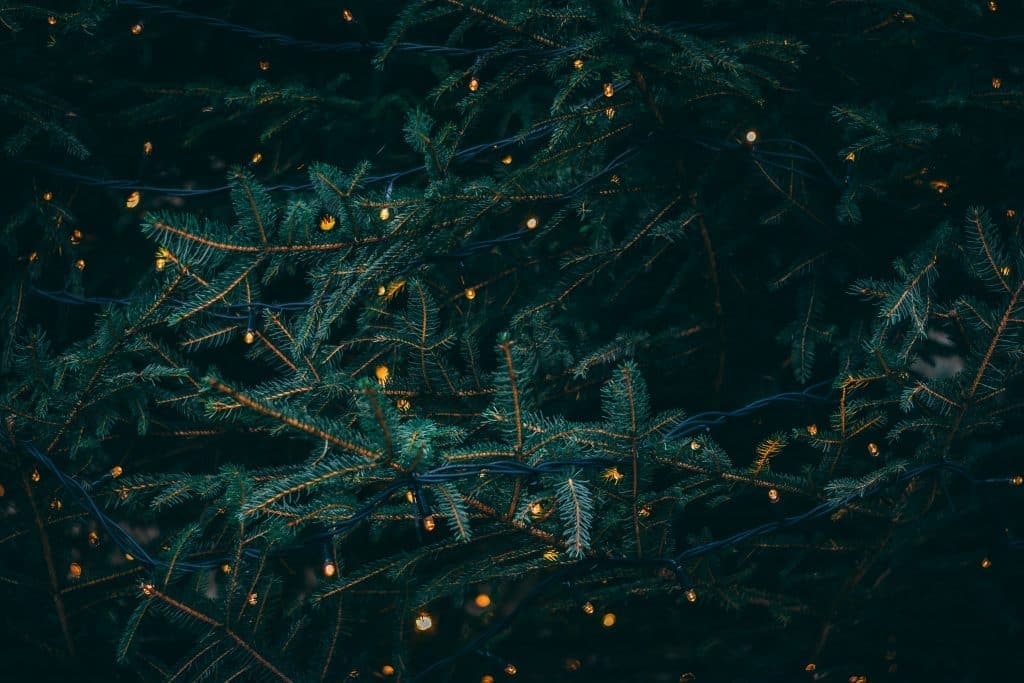 Cómo encontrar paz en medio del caos navideño