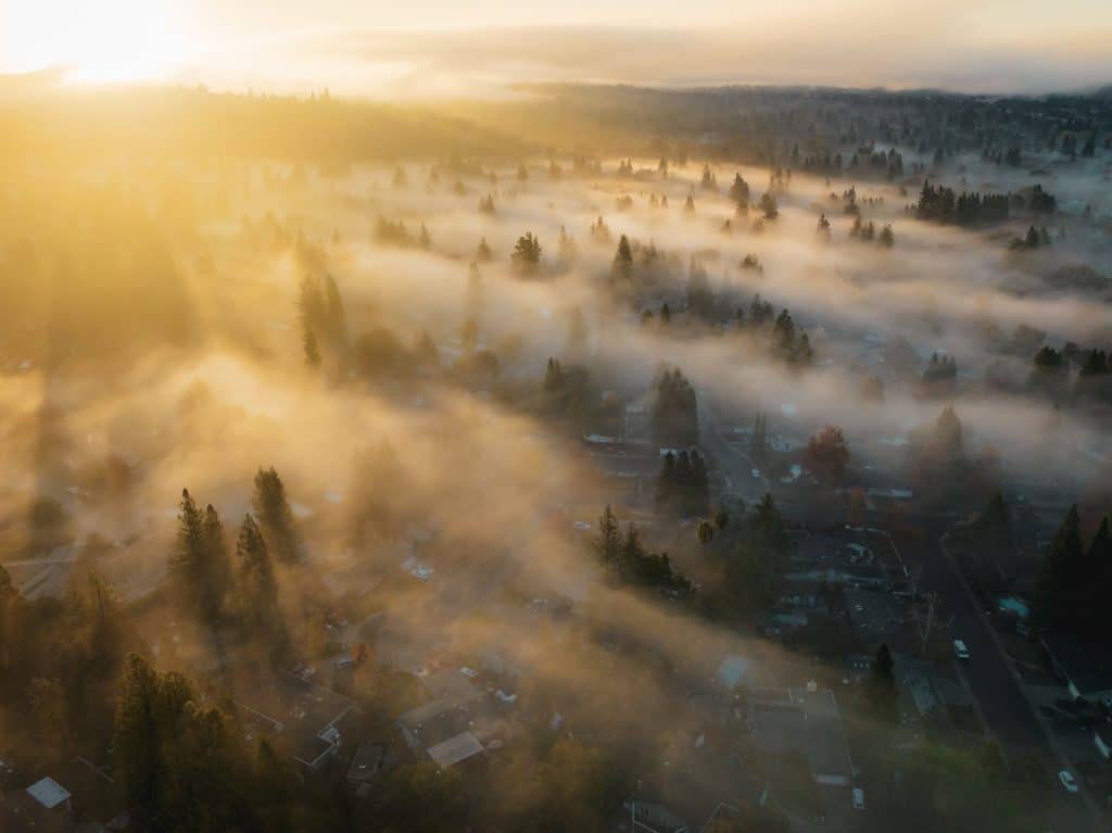 Forgiveness Brings Freedom: Insights from the Bible