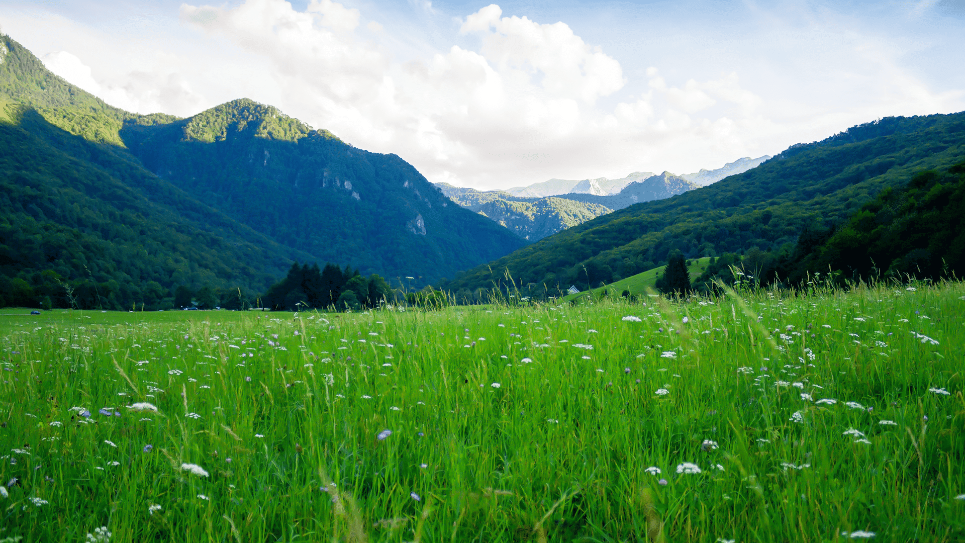 When Words Fail: A Prayer for A Broken Heart