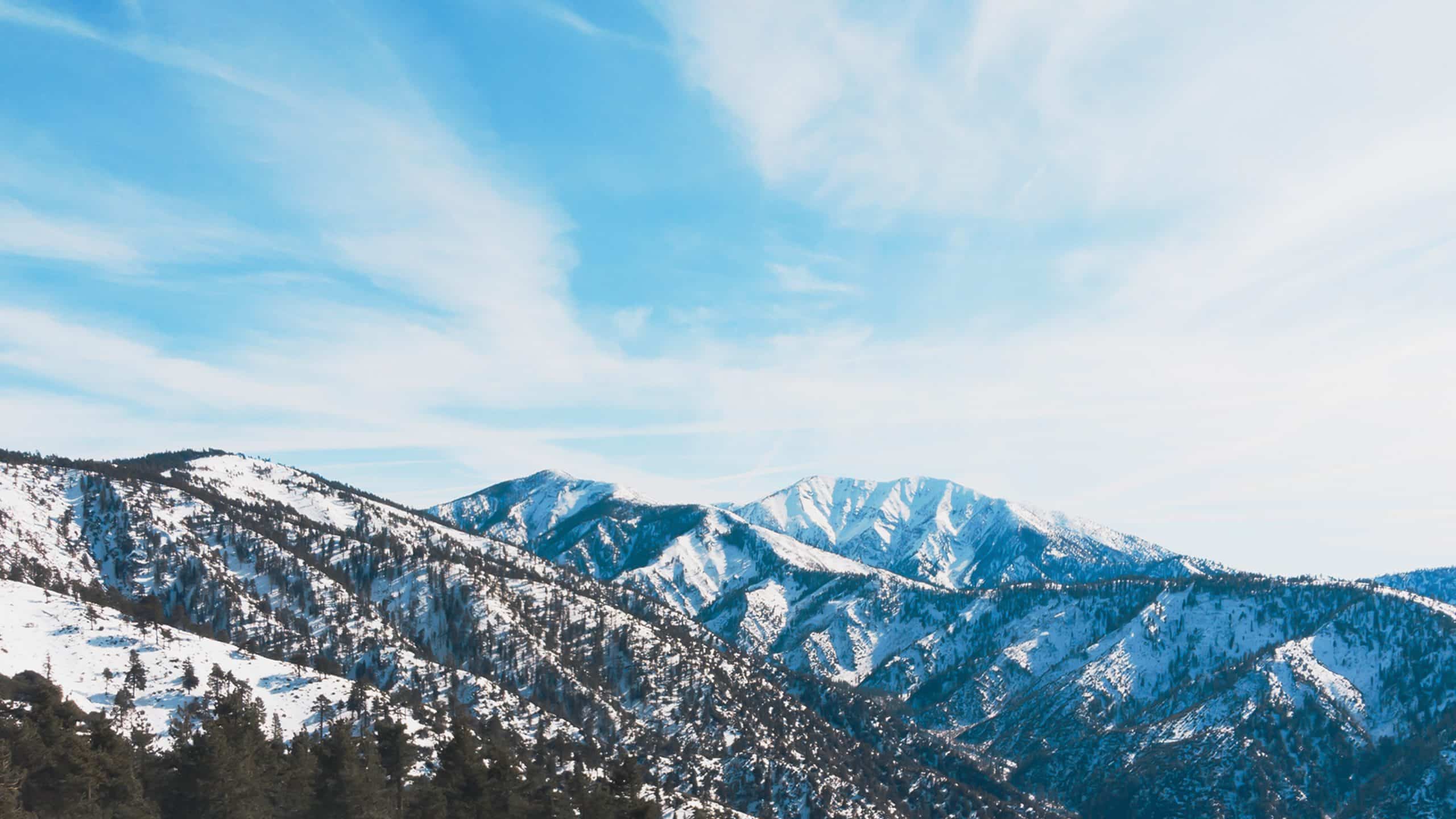 19 Incredible Bible Verses About Jesus Birth