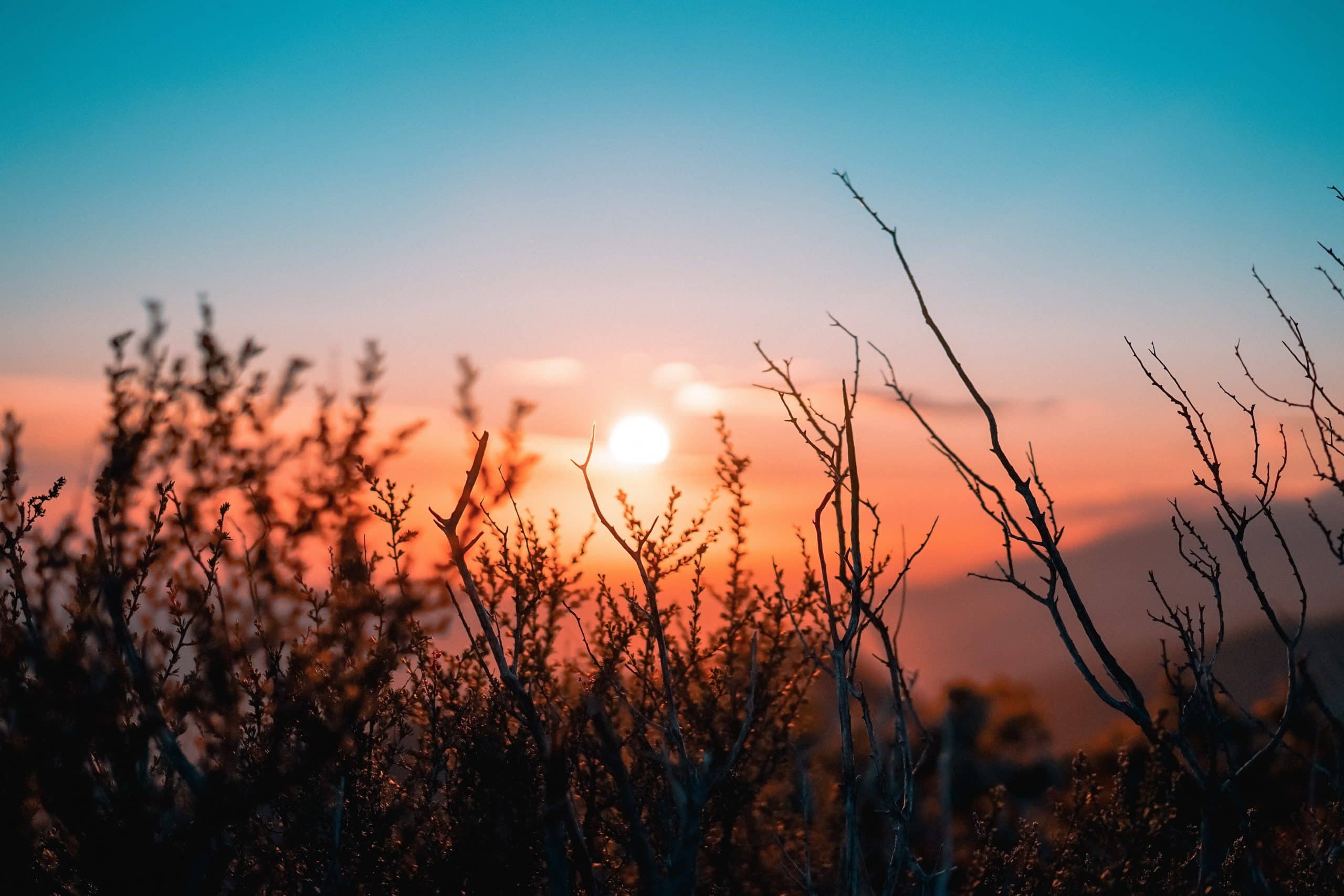 ¿El Espíritu Santo es Dios?