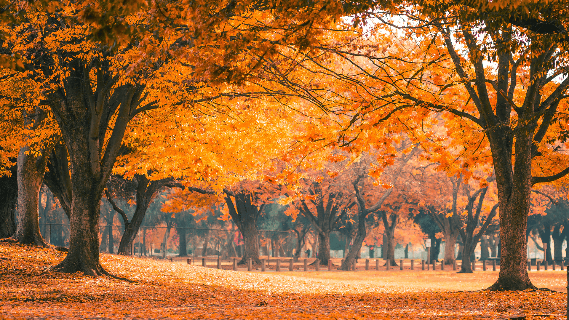 Thanksgiving Bible Verses To Help You Celebrate in 2023