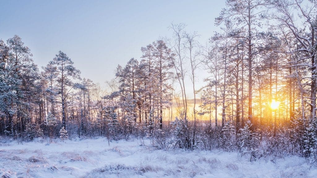 Have Yourself A Mindful Little Christmas