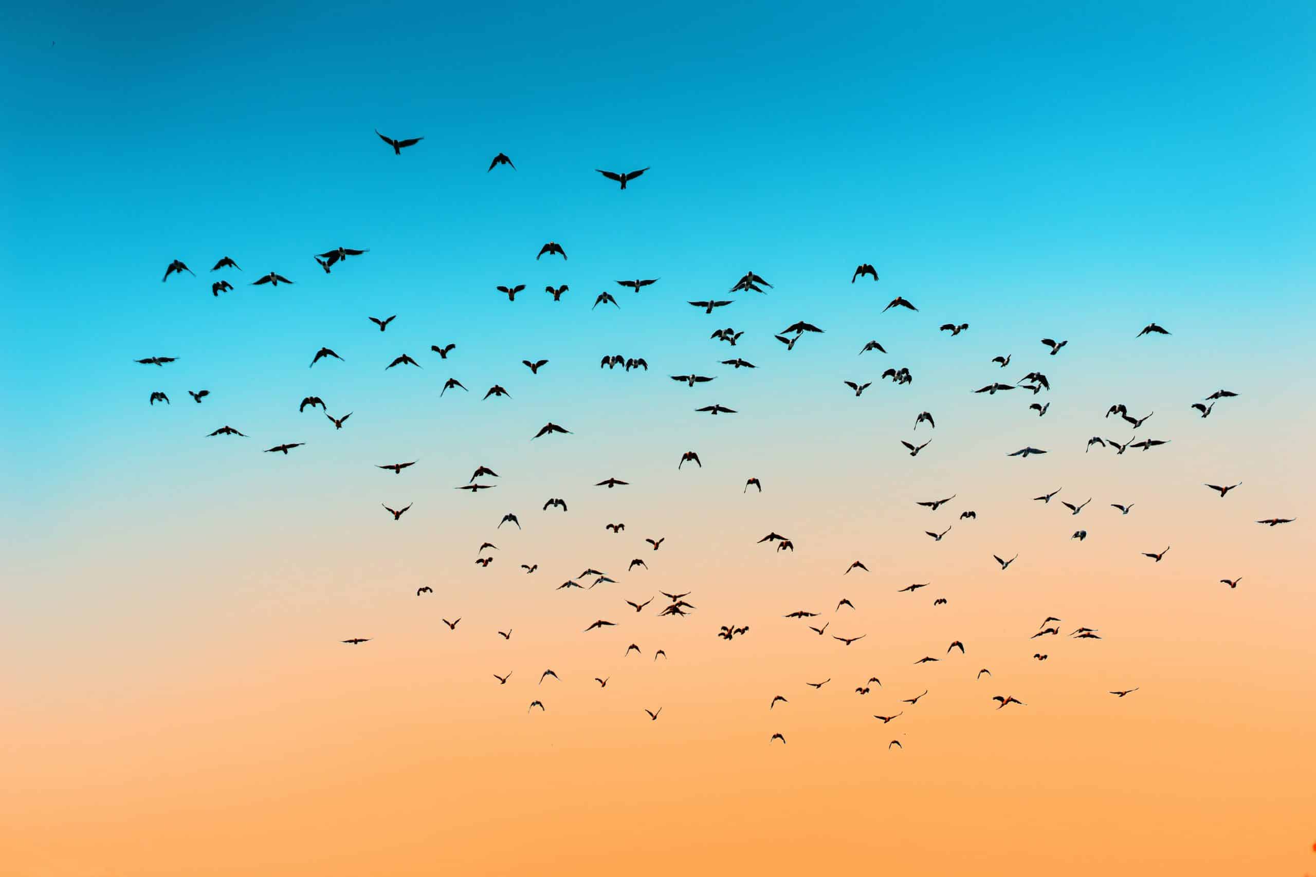 Five Bible Verses About God's Kindness