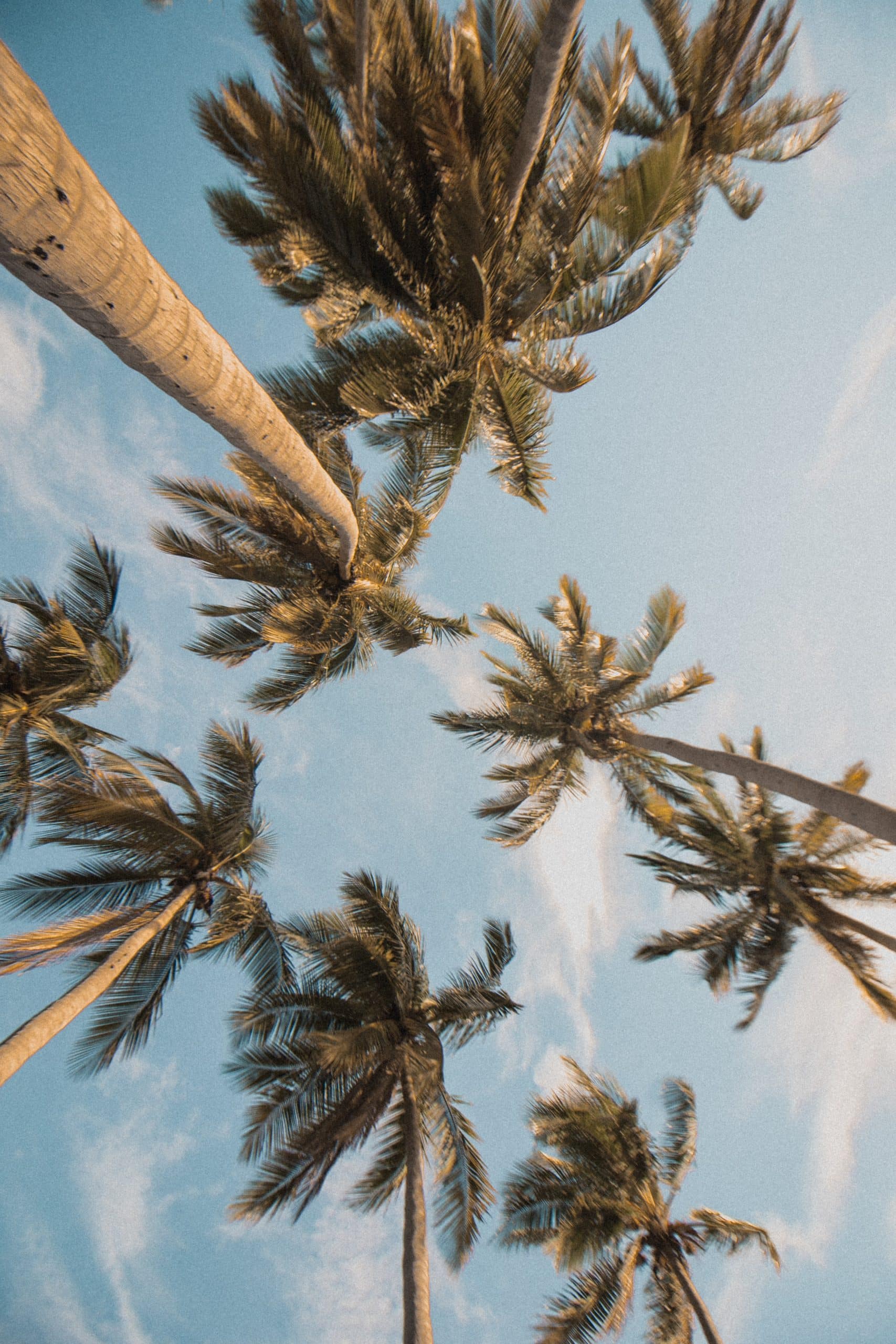 Summer Essentials: Sun, Fun… And A Bible Reading Plan?