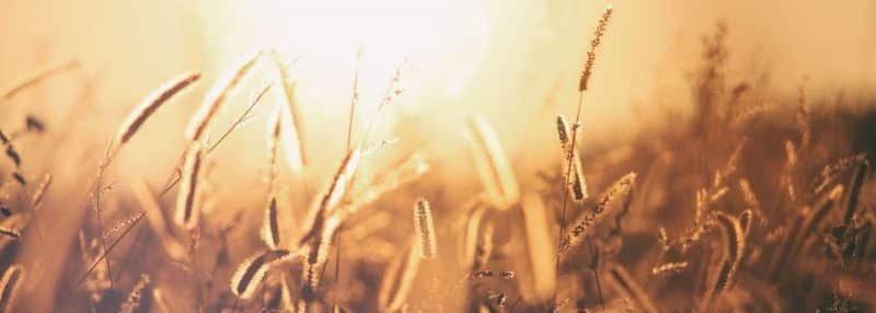 O Que É Pentecostes?